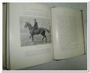 Le cheval à deux fins-Henri Liévin.