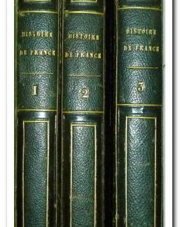 HISTOIRE DE FRANCE DEPUIS LES ORIGINES GAULOISE JUSQU’À NOS JOURS,3 TOMES - GABOURD AMEDEE.