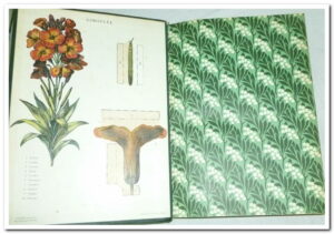 Nouvelle Encyclopedie Autodidactique Illustrée d'enseignement moderne en 3 volumes - Aristide Quillet.