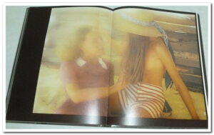 LES DEMOISELLES d’Hamilton - Hamilton David