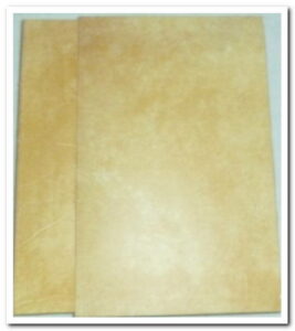 Livre du Roy Charles. De la chasse du cerf - Roy Charles