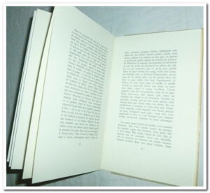 L'homme du désastre - Bobin Christian