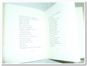 Une lointaine lueur - Charles Juliet